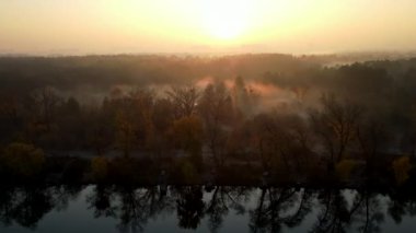 Gün doğumunda nehirde sabah sisinin hava görüntüsü. Küçük gölü olan sisli bir manzara. Yüksek kaliteli video