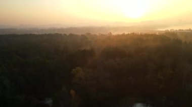 Gün doğumunda nehirde sabah sisi. Demiryolu köprüsü ile sisli manzara