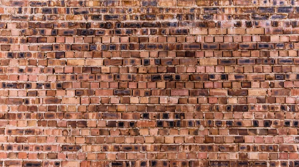 Textura de una antigua pared de ladrillo con yeso —  Fotos de Stock