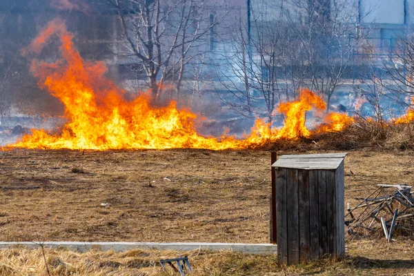 Mevsimsel çöp ve yaprakların yakıldığı ekolojik bir felaket.