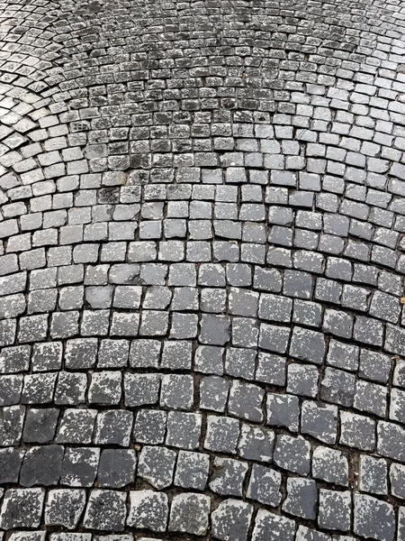 Närbild på en del av trottoaren efter regn i solljus — Stockfoto