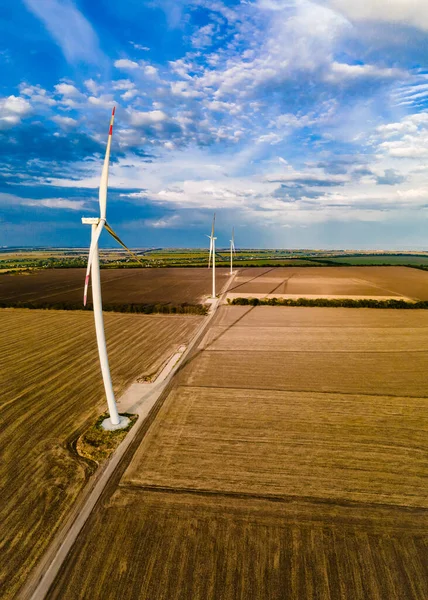 Hava türbinlerinin ekili buğday tarlasında durduğu yer.