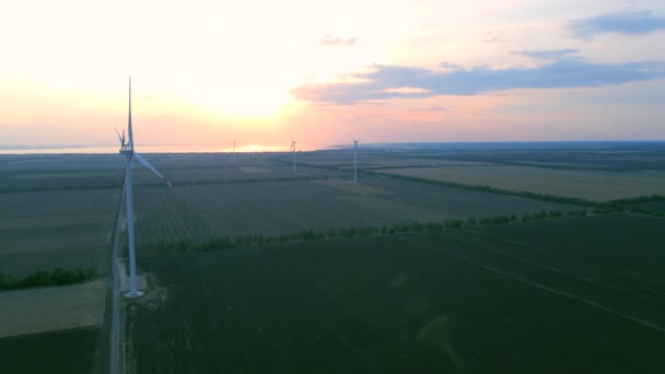 Aerial view of air turbines in a stopped position in a cultivated field — Stock Video