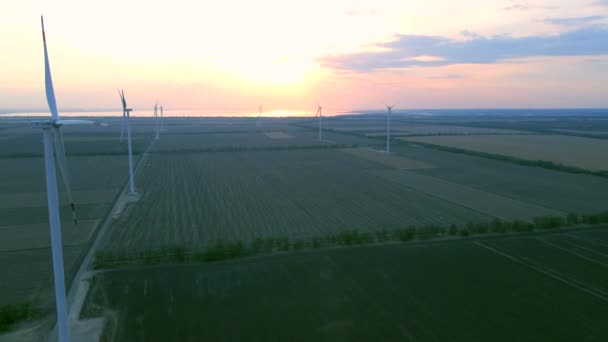 Flygfoto av luftturbiner i stoppat läge i ett odlat fält — Stockvideo