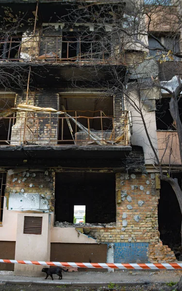 우크라 2022 러시아가 우크라이나를 건물의 정면이다 파괴됐어 버려진 고품질 — 스톡 사진