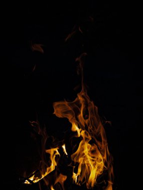 Fire flames on a black background. Fire lights on a black background. High quality photo