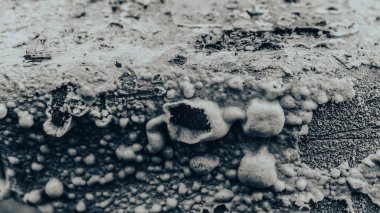 Paint damaged by temperature. Texture. Close up view. High quality photo.