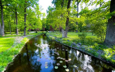 View of a small river in the middle of a green summer park. High quality photo.