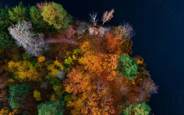 Top View Colorful Forest Trees Lake Autumn Ukraine High Quality — Stock Photo, Image