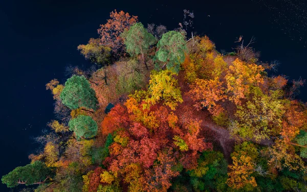 Widok Góry Kolorowych Drzew Leśnych Jeziora Jesienią Ukraina Wysokiej Jakości — Zdjęcie stockowe
