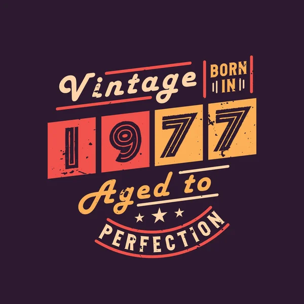 Vintage Born 1977 Aged Perfection — Stock Vector