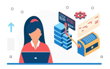 Veritabanı sistemini koruyan yazılım mühendisi geliştiricisi