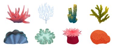 Su altı egzotik bitkileri ve deniz hayvanları derin deniz tabanından veya akvaryum vektör illüstrasyonundan oluşturulmuştur. Çizgi film deniz yosunu ve mercan resifi koleksiyonu beyazları izole etti. Denizaltı yaşamı, tropikal doğa konsepti