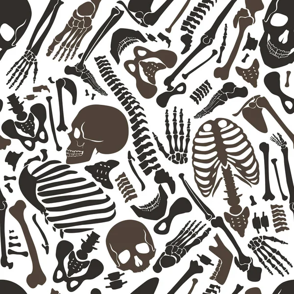 Черепи Інші Різні Кістки Однієї Людини Людський Скелет Безшовний Візерунок — стоковий вектор