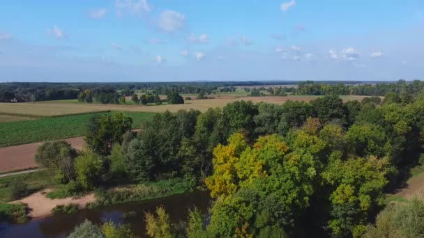 Flyg Över Den Lilla Floden Centrala Polen — Stockvideo