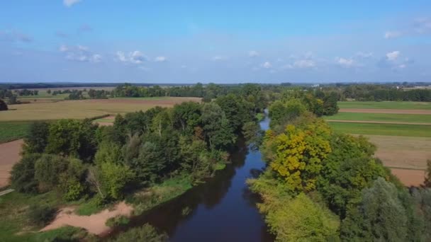 Flyg Över Den Lilla Floden Centrala Polen — Stockvideo