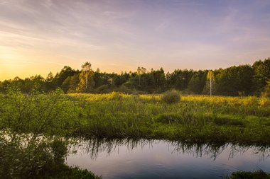 Uykulu doğada sonbahar renkleri, Polonya. 
