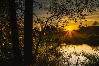 Uykulu doğada sonbahar renkleri, Polonya. 