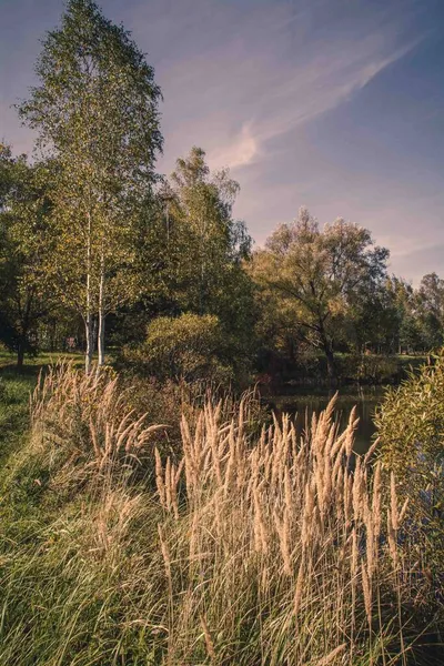Осенние Цвета Сонной Природе Польша — стоковое фото