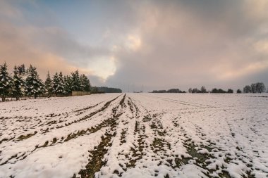 Karla kaplı tarlalar ve çayırlar. 