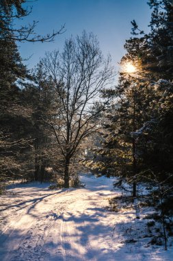 Orta Polonya 'da kış havası, hüzünlü ve nostaljik bir manzara.. 