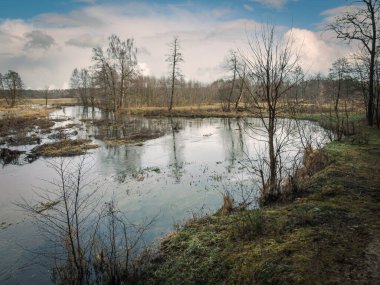 Orta Polonya 'da karsız bir nehirde kış.. 