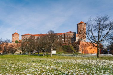 Polonya 'nın Krakow kentindeki Wawel Kalesi. 