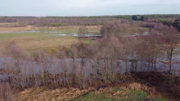 Invierno Sin Nieve Río Grabia Centro Polonia — Vídeo de stock