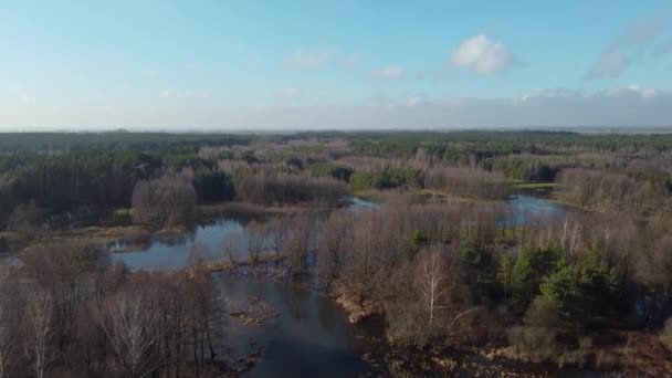 Inondations Inondations Durant Les Dégels Printaniers Partir Une Petite Rivière — Video