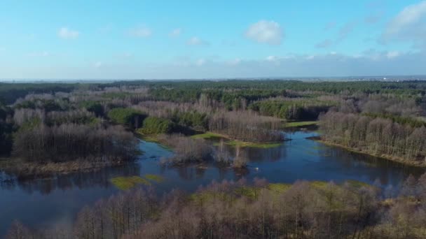 Inondations Inondations Durant Les Dégels Printaniers Partir Une Petite Rivière — Video