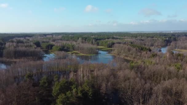 Inverno Senza Neve Fiume Grabia Nella Polonia Centrale — Video Stock