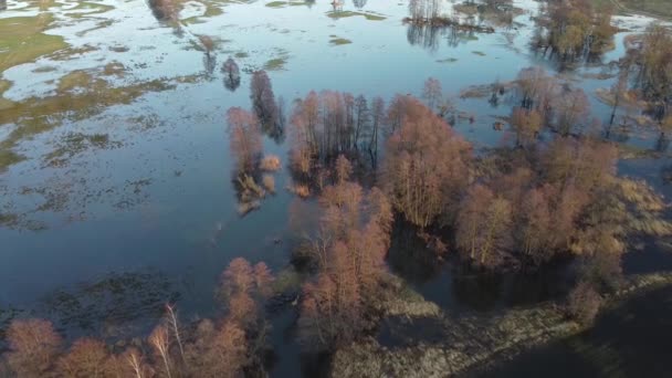 Fleuve Grabia Avec Niveau Eau Élevé Dans Centre Pologne — Video