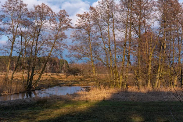 Νωρίς Την Άνοιξη Ένα Μικρό Ποτάμι Στην Κεντρική Πολωνία — Φωτογραφία Αρχείου