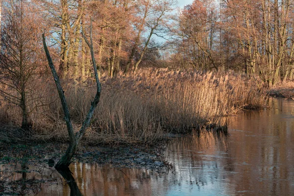 ポーランド中央部の小さな川の早春 — ストック写真