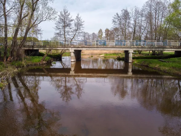 Road Bridge Small River — Photo