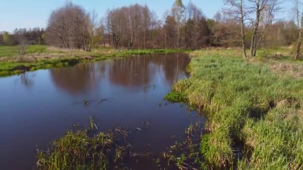 Vlucht Lage Hoogte Boven Het Wateroppervlak — Stockvideo