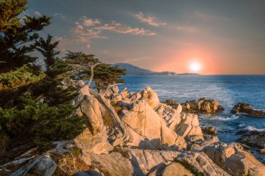 Birleşik Devletler 'deki Monterey kompleksinin kıyı şeridi..