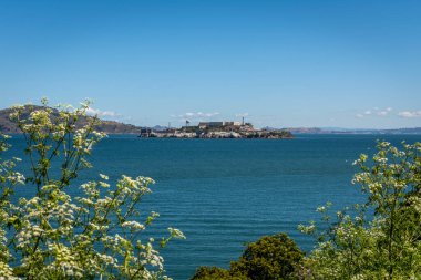 Alcatraz Adası - San Francisco Körfezi 'nde bir ada.