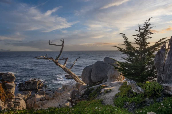Monterey Widok Wybrzeże Zachodzie Słońca — Zdjęcie stockowe