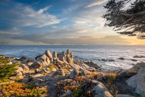 Monterey Uitzicht Kust Bij Zonsondergang — Stockfoto
