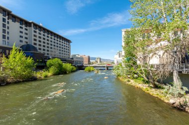 Truckee Nehri üzerindeki Reno şehri, ABD.