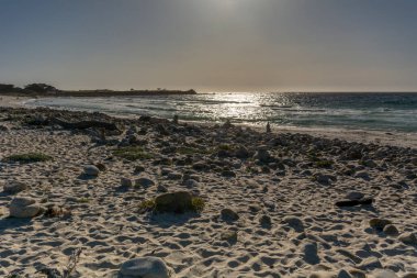 Big Sur - California 'nın en güzel yeri..