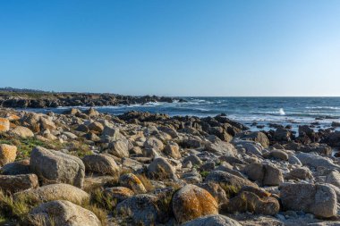 Big Sur - California 'nın en güzel yeri..