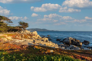 Monterey, California yakınlarındaki Big Sur Sahili.