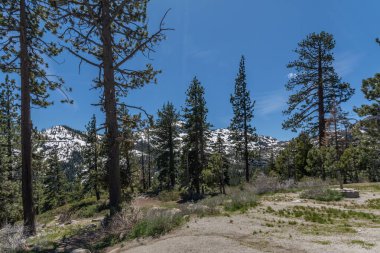 Sierra Nevada - a mountain range in North America,