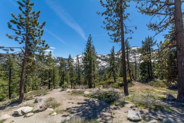 Sierra Nevada - a mountain range in North America,