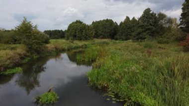 Yazın sonu, Polonya 'nın Grabia Nehri' ndeki batan güneşle aydınlandı..