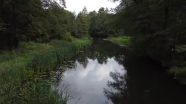 Yazın sonu, Polonya 'nın Grabia Nehri' ndeki batan güneşle aydınlandı..