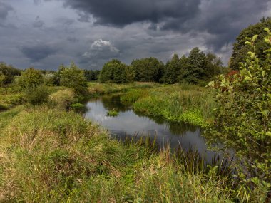 Yazın sonu, Polonya 'nın Grabia Nehri' ndeki batan güneşle aydınlandı..