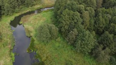 Orta Polonya 'da küçük, vahşi bir nehir manzarası.